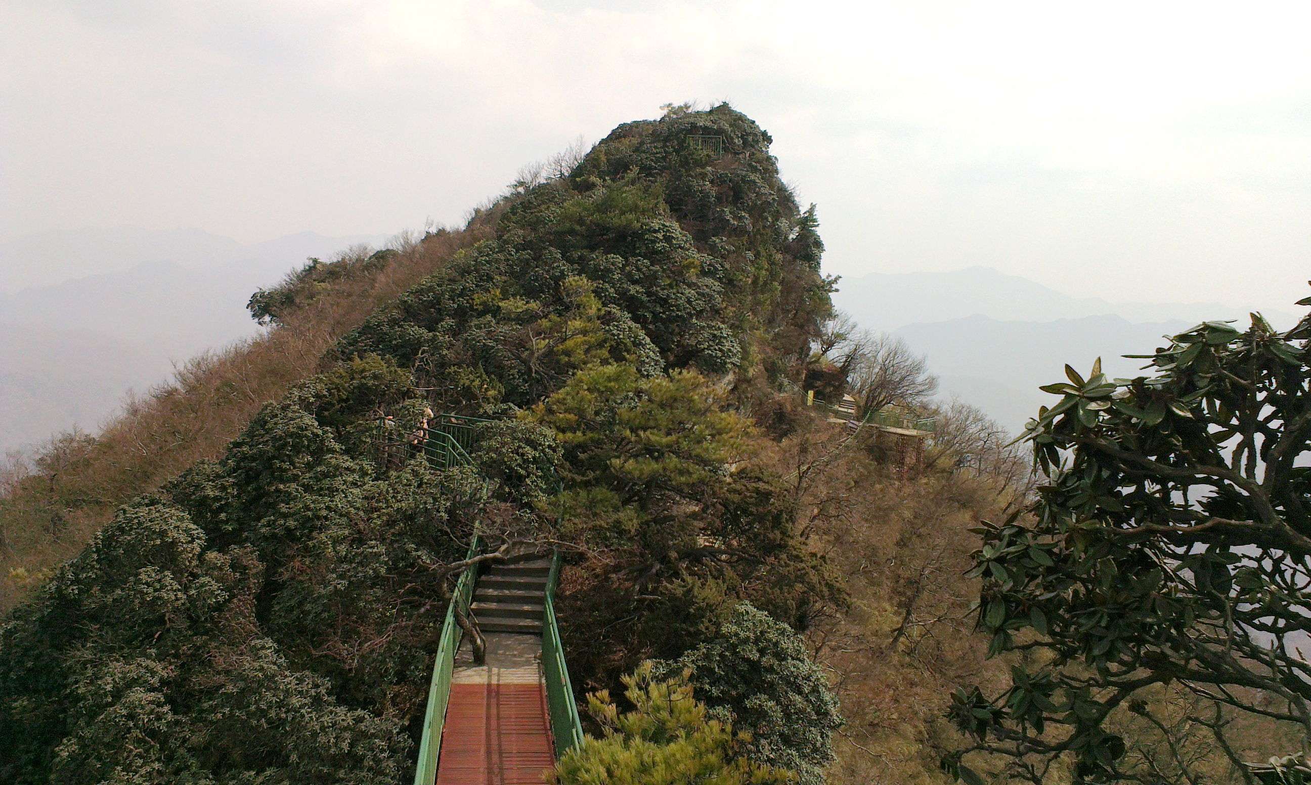 IMAG0076.jpg
