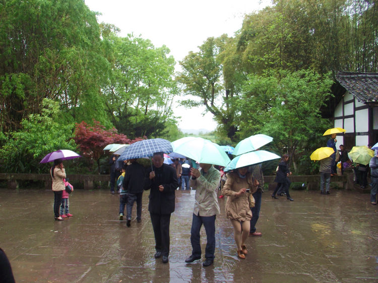 DSCF5733.JPG