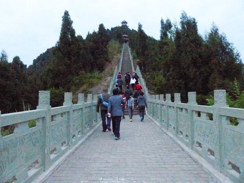 L1020394.jpg