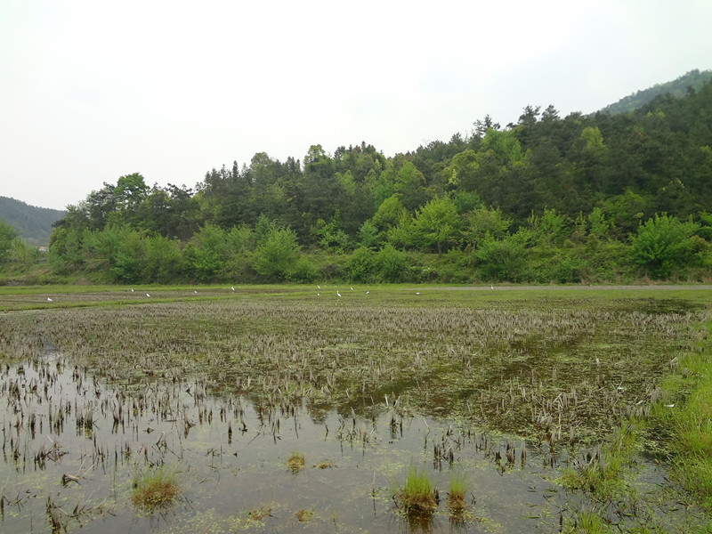 DSC01124_.jpg