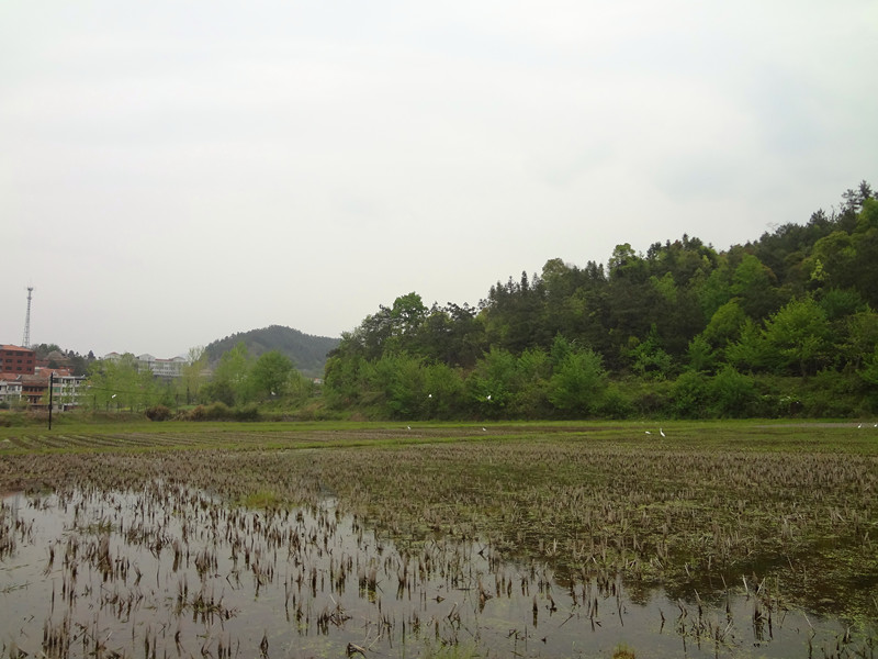 DSC01125_.jpg