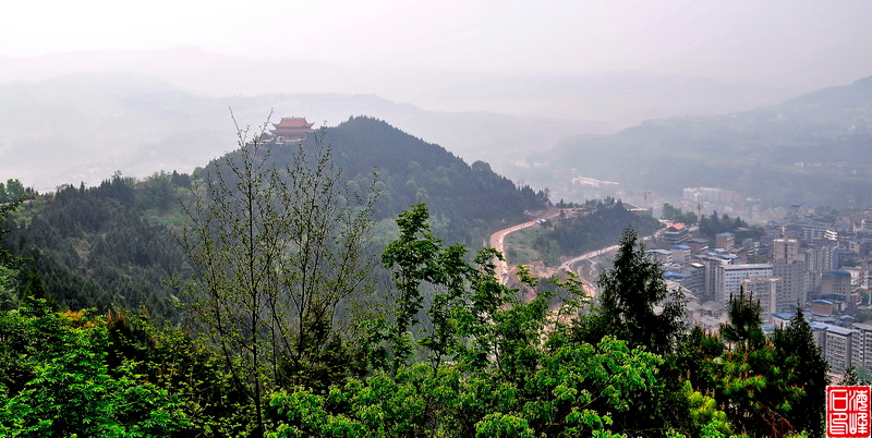 花儿开满佛头山-平昌论坛-麻辣社区 四川第一网络社区 你的言论 影响