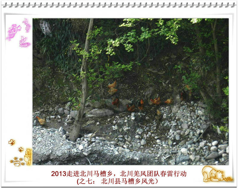 DSCN5034.JPG