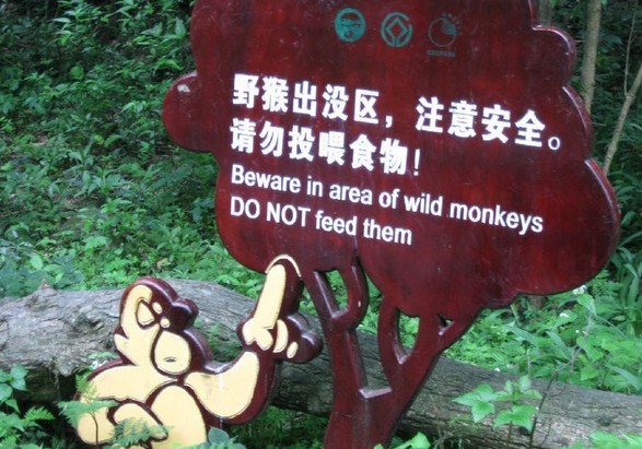 游走湘西,就是一生的眷恋(&张家界,黄龙洞,长沙)