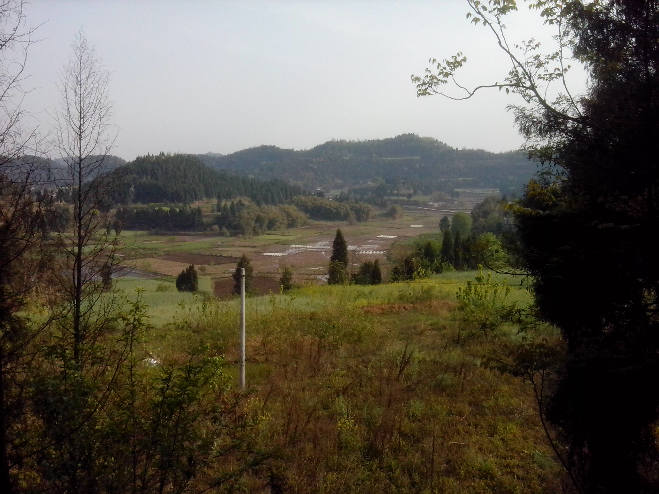 IMG_20130326_090754.jpg
