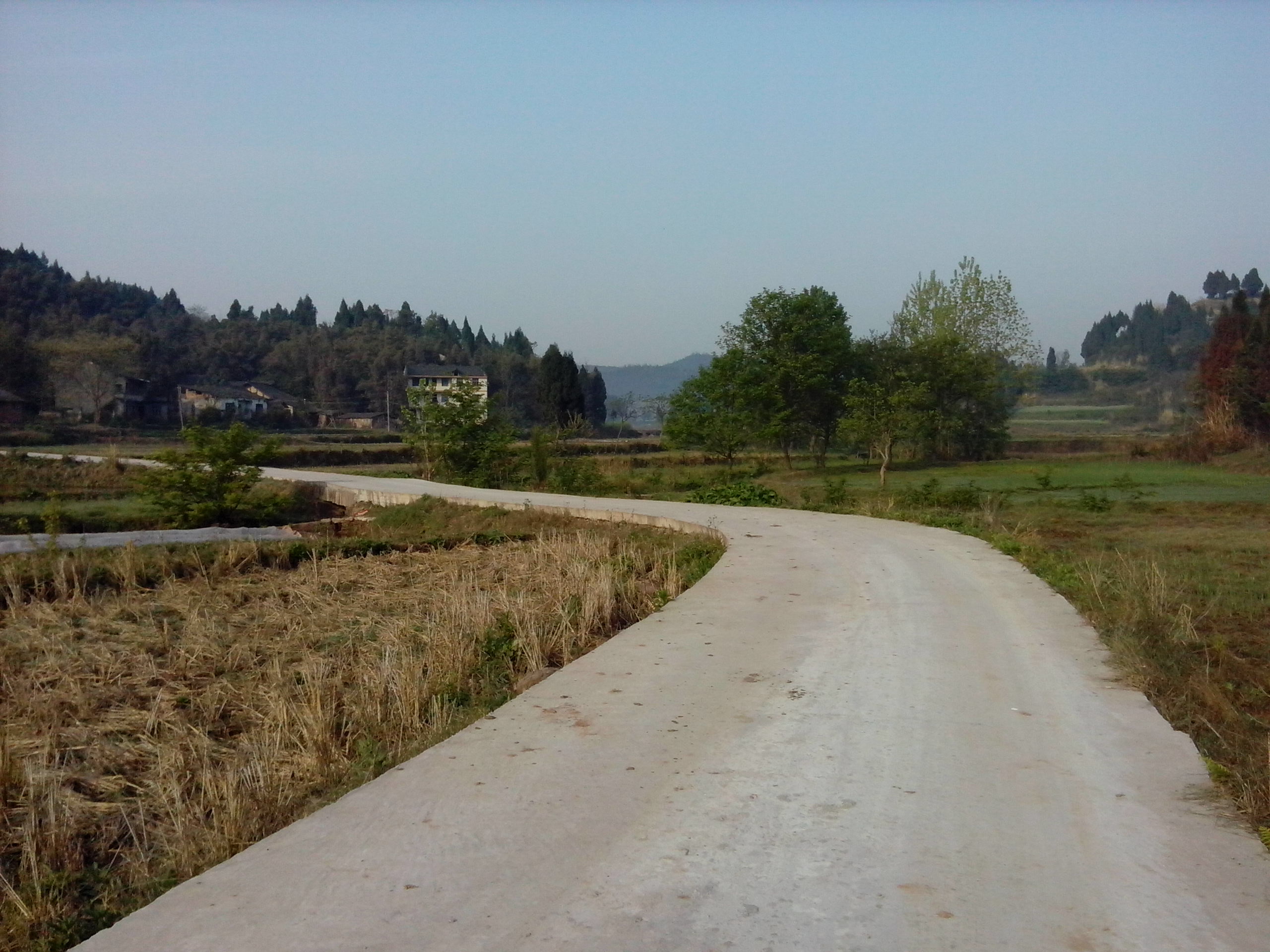 IMG_20130328_084353.jpg