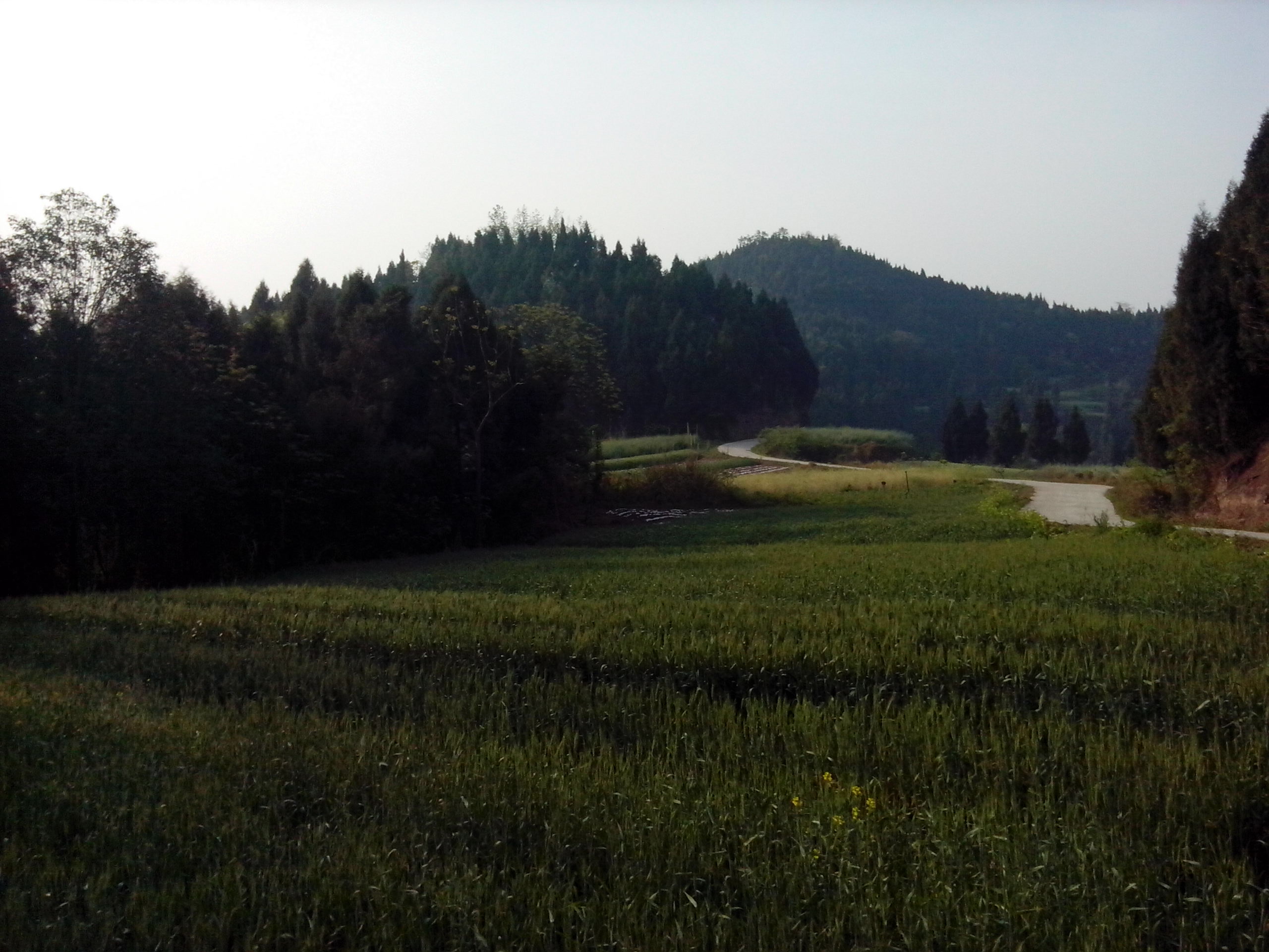 IMG_20130328_083713.jpg