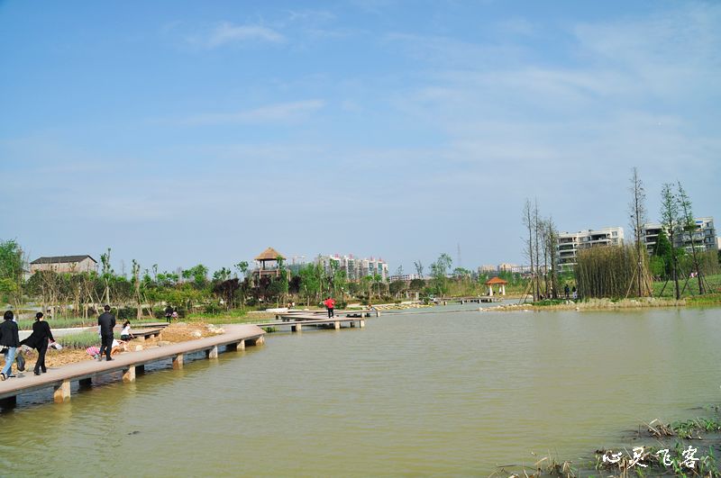 nEO_IMG_DSC_0033.jpg