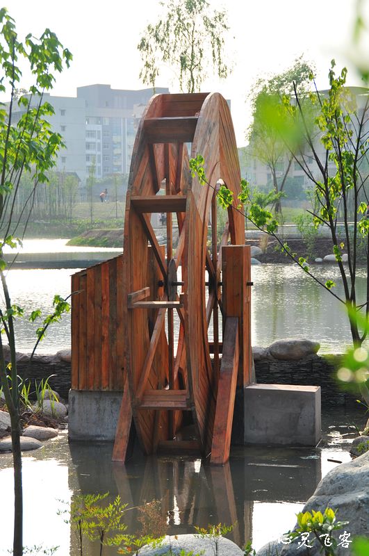 nEO_IMG_DSC_0248.jpg