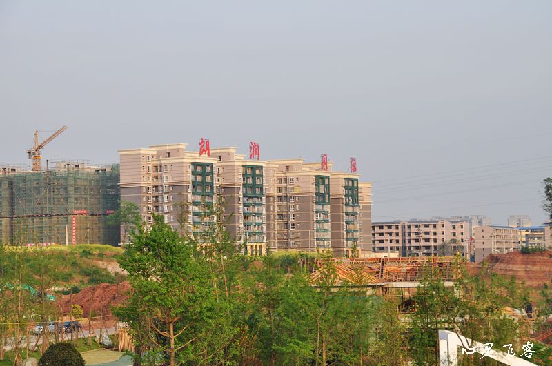 nEO_IMG_DSC_0361.jpg