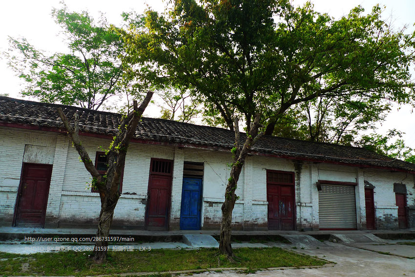 P1360951.jpg