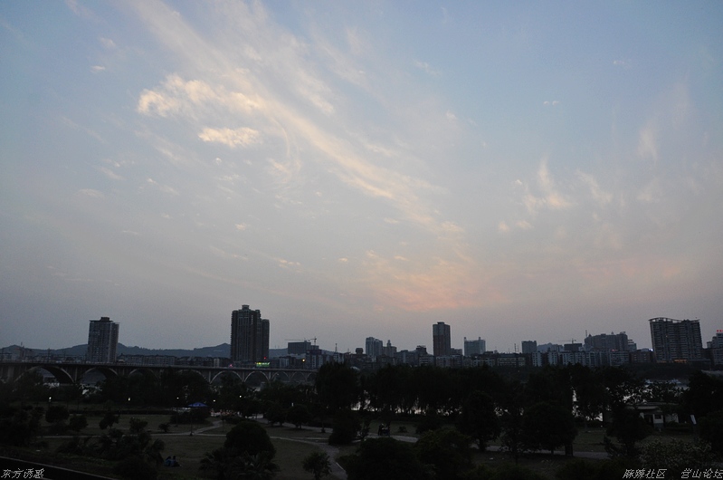 DSC_0441.jpg
