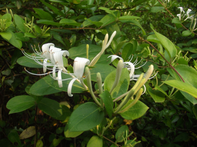 DSCF5815.JPG
