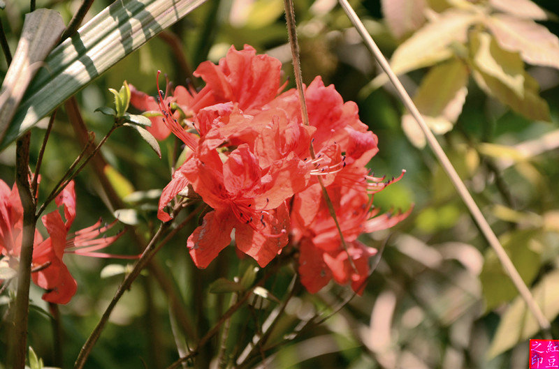 DSC_1588__1.jpg