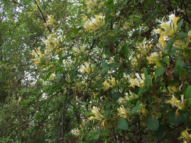 DSCF5829.JPG