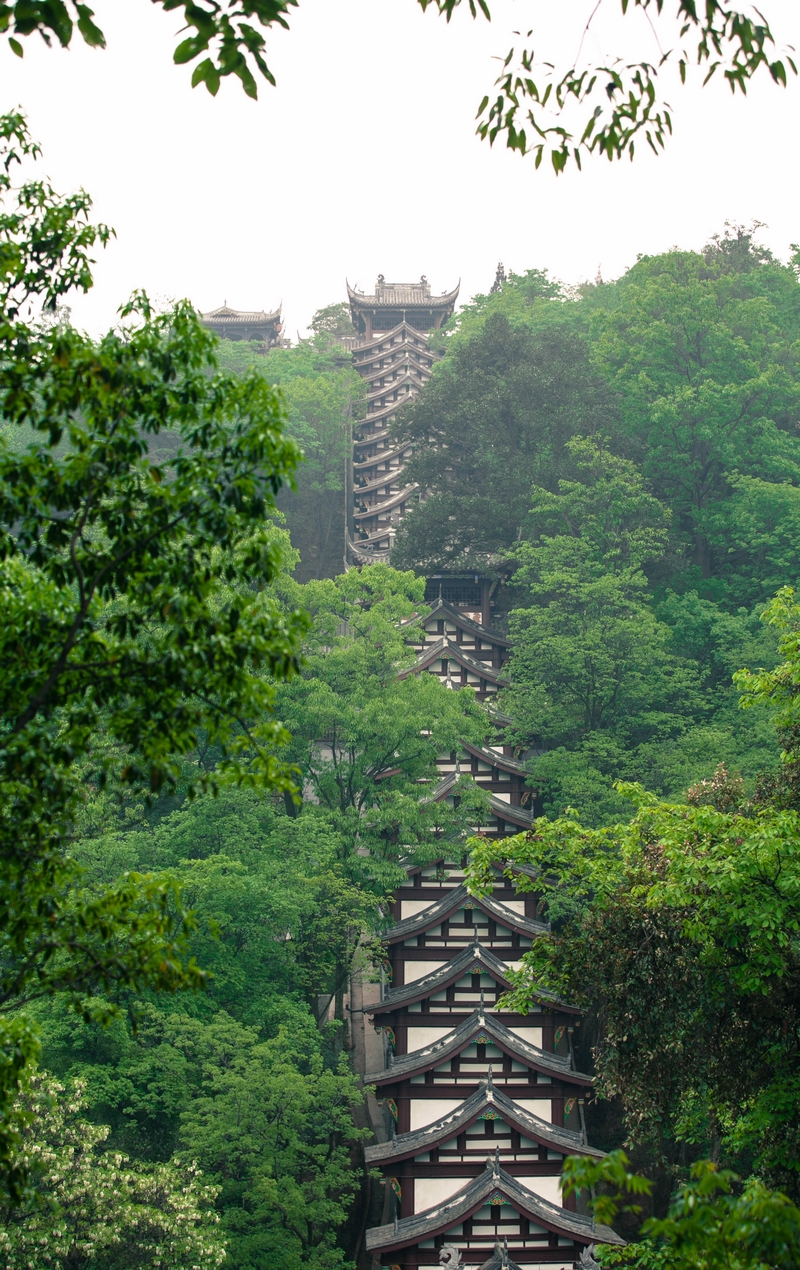 青城山手机壁纸图片