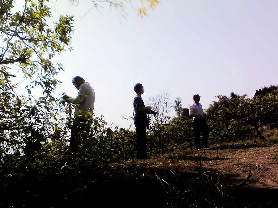 IMG_20130324_155558_0.jpg