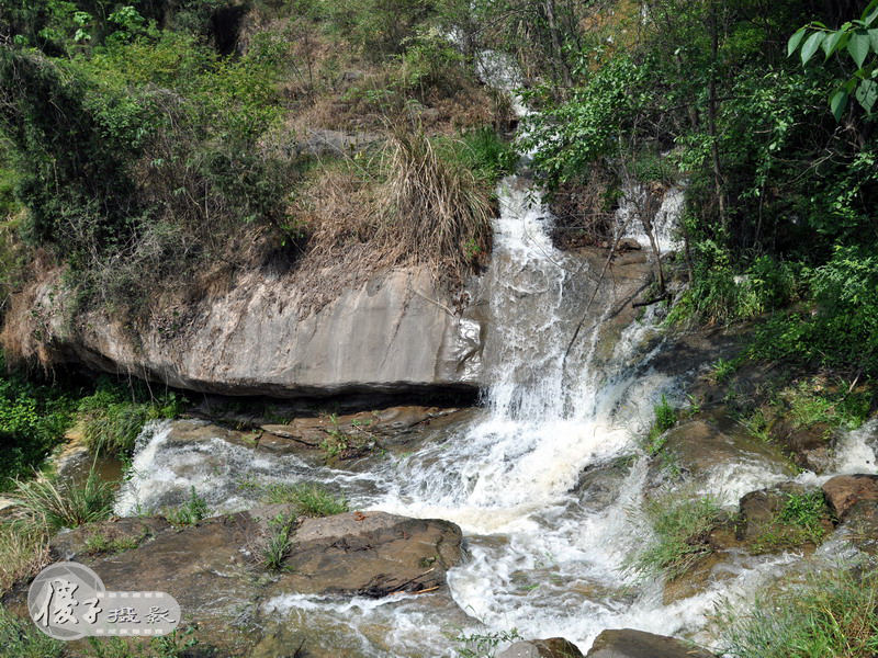 DSC_0230.jpg