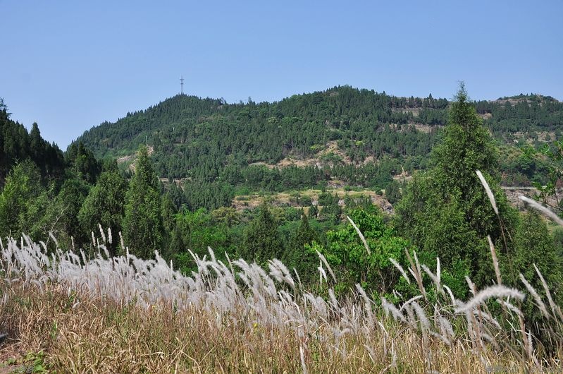 DSC_0074.jpg