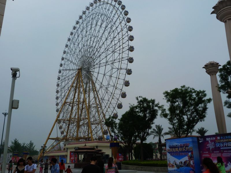 P1060089.JPG