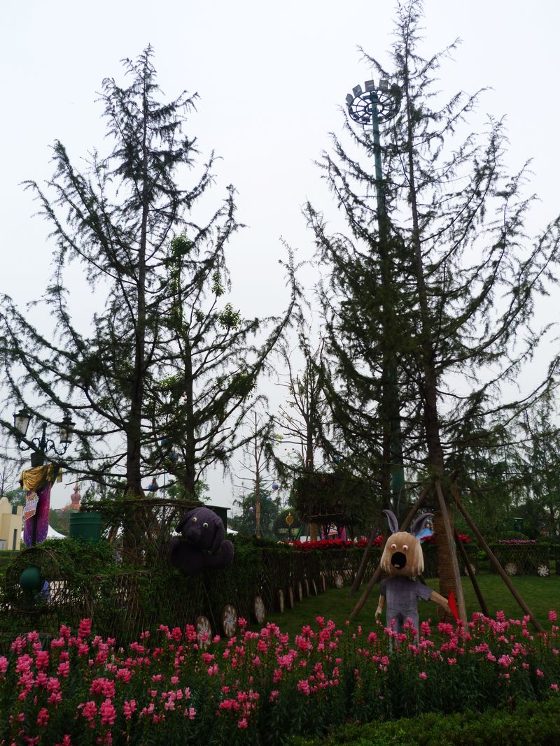 P1060113.JPG