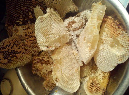 看了让人流口水的…蜂蜜(关门子杨家屋里的蜂