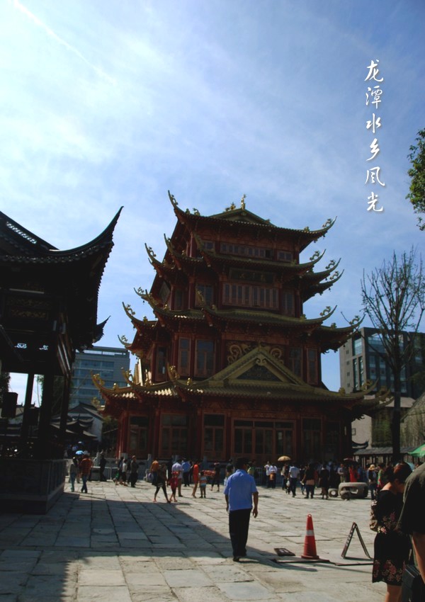 DSC_0134_conew1.jpg