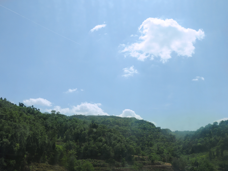 DSC_0455.jpg