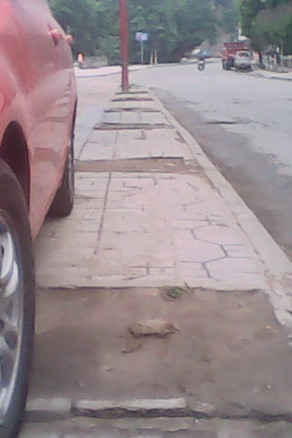 0003.JPG