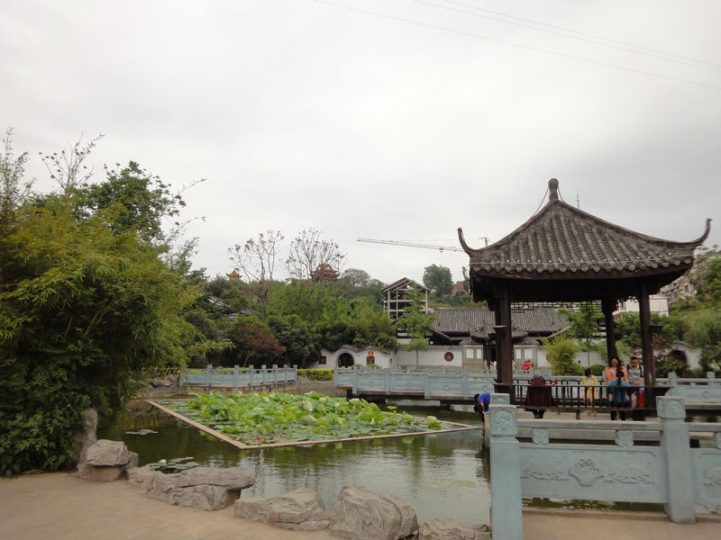 DSC00574.JPG