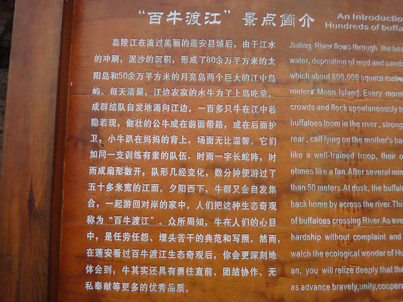 DSC00611.JPG
