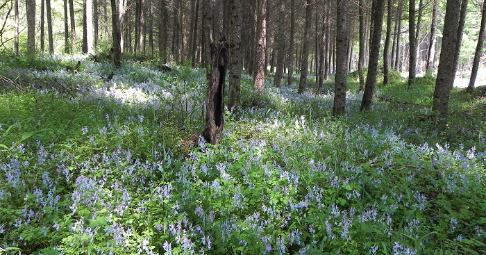DSCN5102.jpg