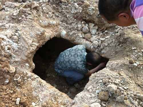 平昌首次发现碗墓群 预计出土4000余只瓷碗