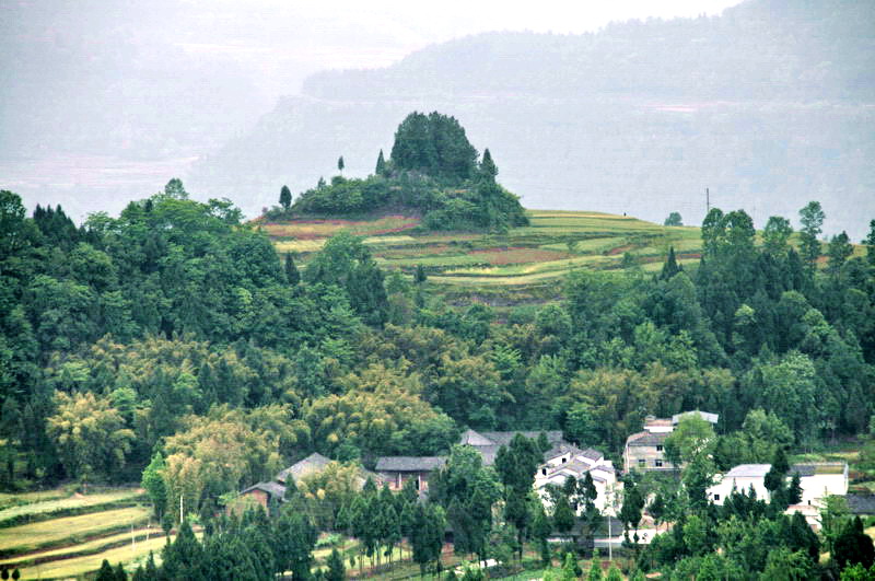 DSC_2493_С.jpg