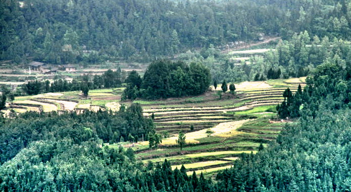 DSC_2496_С.jpg
