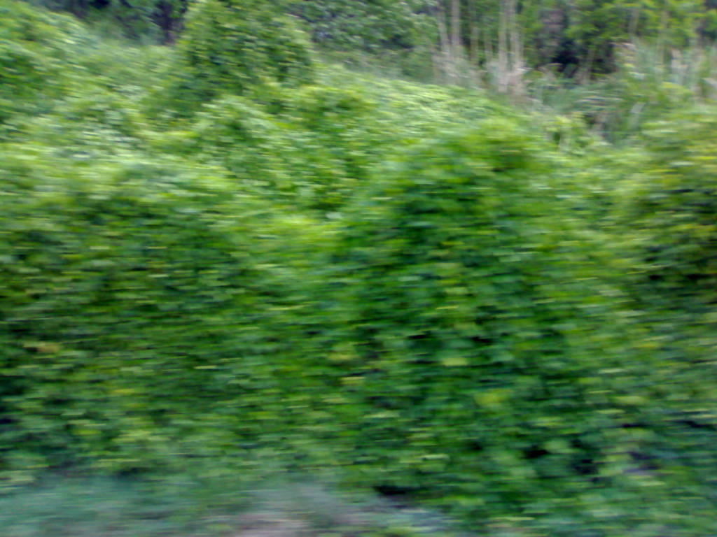 20130426626.jpg