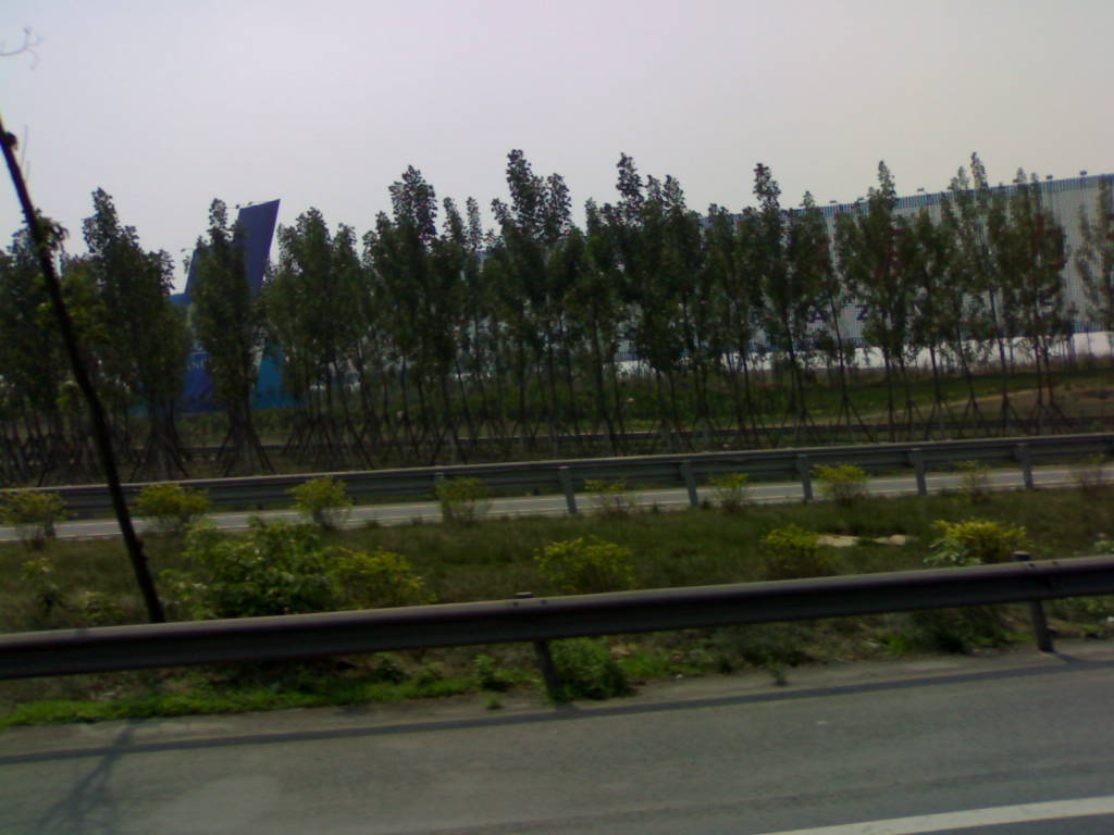 20130426563.jpg