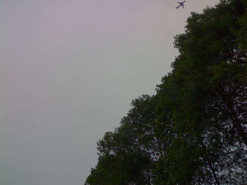 20130405468.jpg