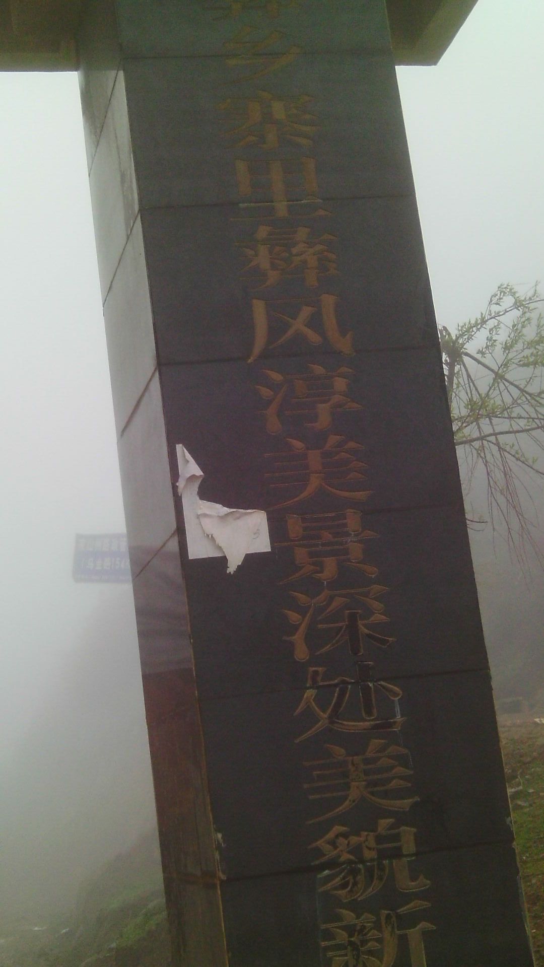IMAG0017.JPG