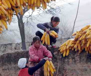 빤ѧ.jpg