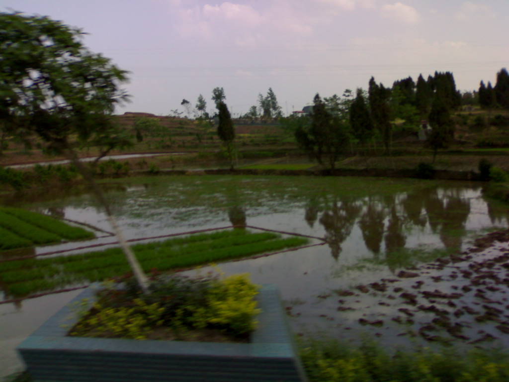 20130426674.jpg