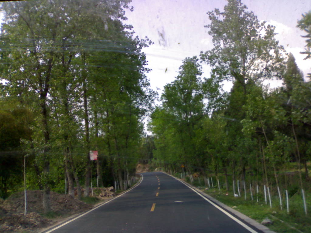 20130426676.jpg