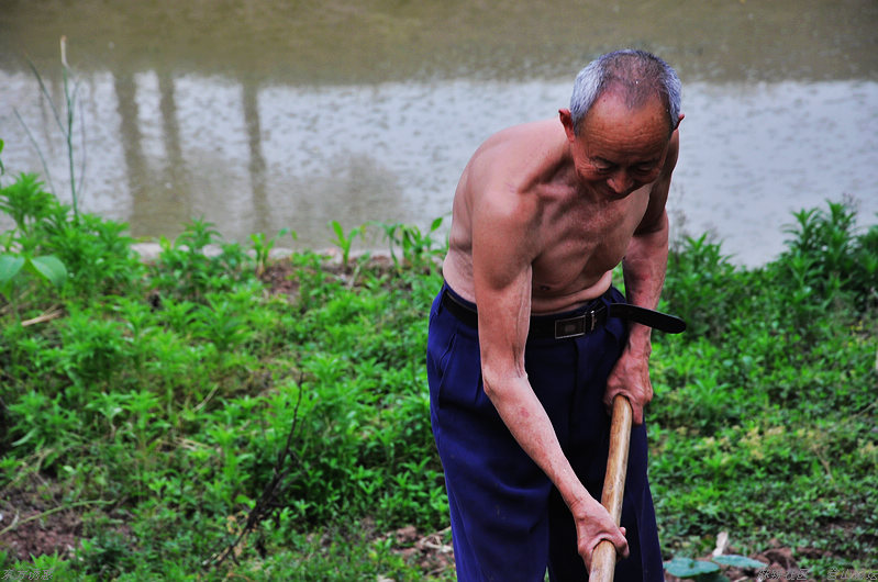 西藏的孩子                        鲜俊才是老人儿子最差的学生&