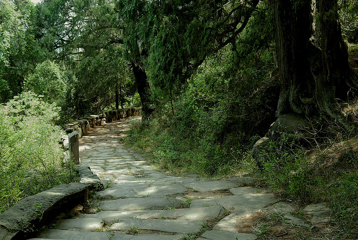 白马关景区金牛古道图片