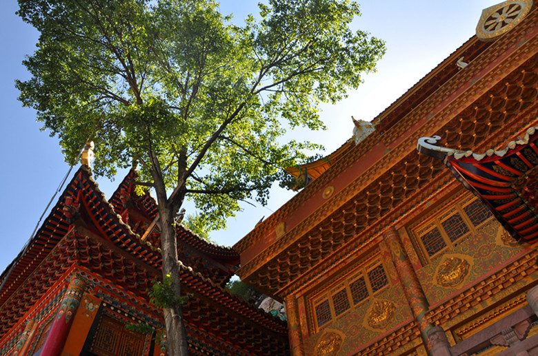 周末康定观音阁随拍