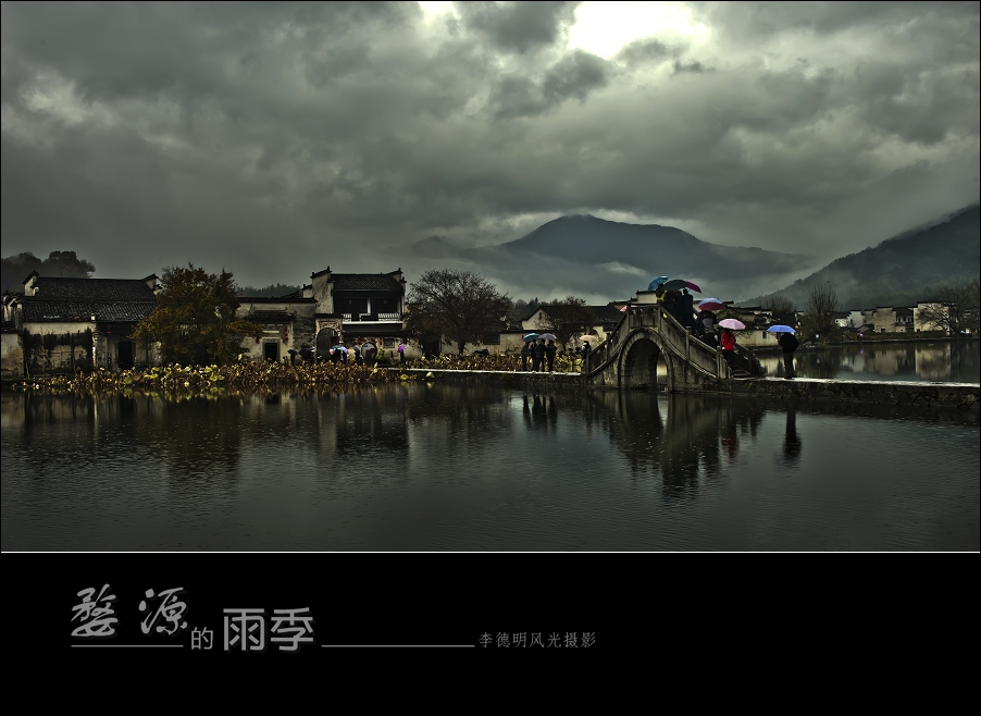 D80_8696.jpg