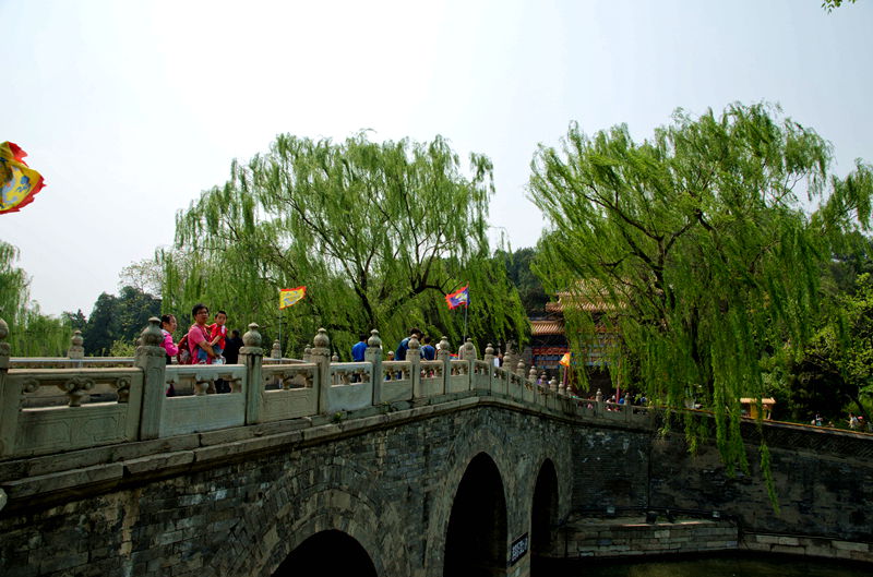 DSC_6516.jpg