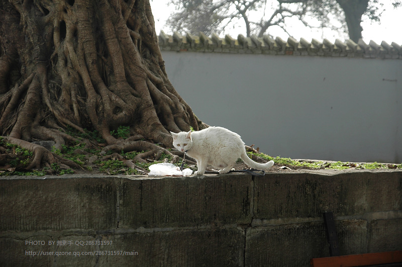 DSC_1446.jpg