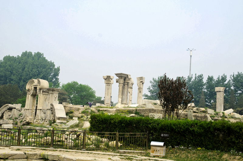 DSC_6698.jpg