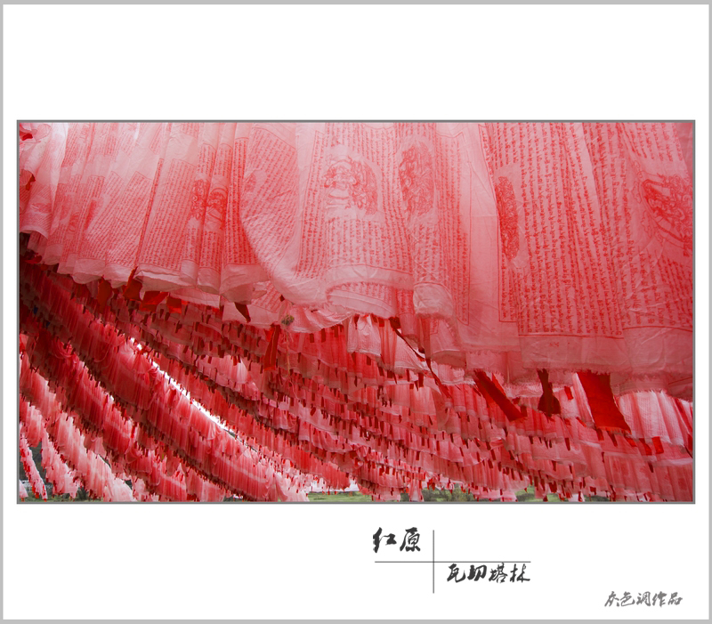 IMG_1172Ϊܶ-1.jpg